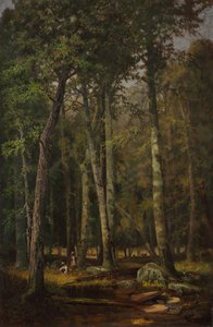 Un pomeriggio d