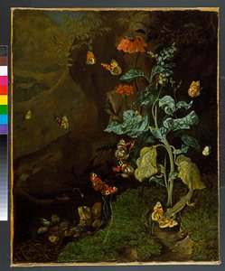 Natura morta con fiori, farfalle e una lucertola in una valle da Rachel Ruysch