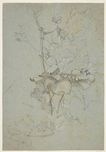Studio di piante da Rachel Ruysch