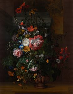 Rose, convolvoli, papaveri e altri fiori in un