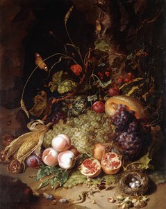 Natura morta con frutta e insetti