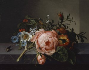 Natura morta con ramo di rosa, scarabeo e ape, 1741