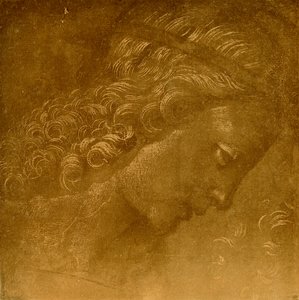Studio di testa di angelo
