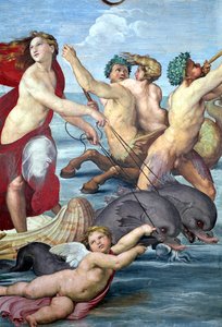 Galatea, dettaglio di tritoni e delfini (dettaglio) da Raffaello Sanzio Raphael