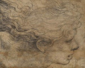 Testa di un angelo