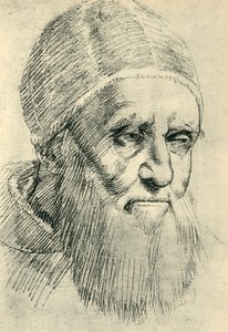 Papa Giulio II, c1512, 1943 da Raffaello Sanzio Raphael