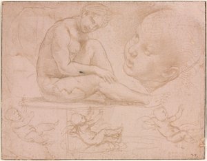 Studi di una donna seduta, testa di bambino e tre studi di un neonato, c. 1507-8 da Raffaello Sanzio Raphael