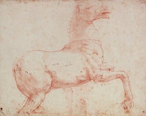 Studio per Cavallo di Marmo del Quirinale