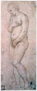 Studio di Venere, c1500-1520