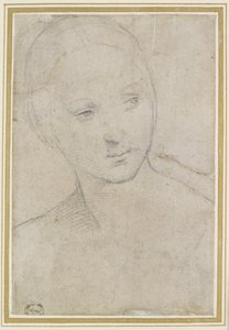 Studio della testa di una giovane donna