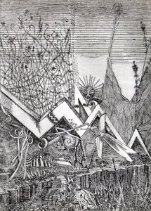 Colibrì da Raimondo Gambino