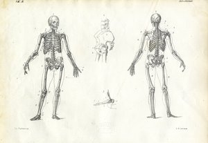 Essere Umano, 1863-79 da Raimundo Petraroja
