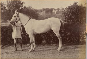  da Raja Deen Dayal