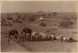 Batteria da campo pesante, Jhansi da Raja Deen Dayal