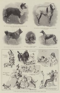 Alla mostra della Ladies