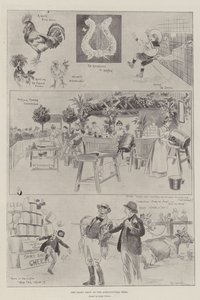 La mostra lattiero-casearia all