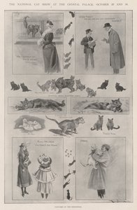 La mostra nazionale dei gatti al Crystal Palace, 29 e 30 ottobre