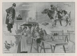 La mostra dell