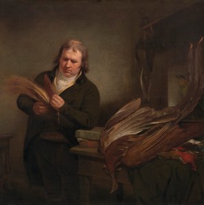 Un ornitologo, possibilmente John Latham da Ramsay Richard Reinagle