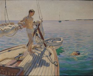 Bagno dalla barca