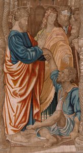 Serie Atti degli Apostoli: Il miracolo del paralitico da Raphael