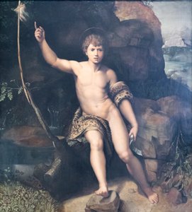San Giovanni Battista da Raphael (1483 1520) (after)