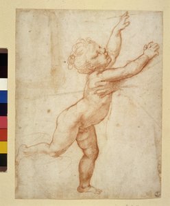 Studio di bambino da Raphael