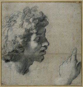 Studio di testa e mano