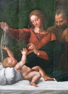 Sacra Famiglia, nota anche come Madonna del popolo, Madonna di Loreto o Madonna del velo da Raphael (1483 1520)