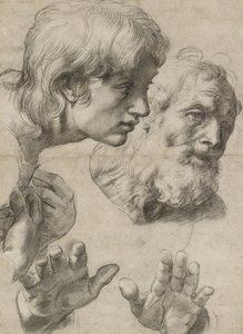 Studi delle teste di due apostoli e delle loro mani da Raphael