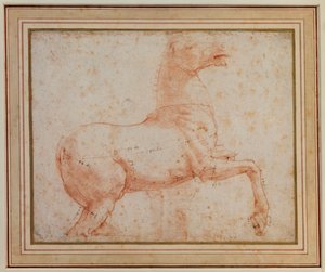Studio di uno dei cavalli di marmo del Quirinale