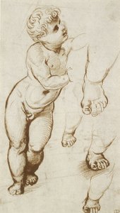 Il Bambino Gesù e altri Studi da Raphael
