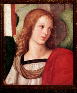 Pala d