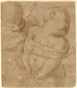 Cupido Legato da Raphael