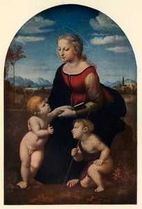 La Belle Jardinière, 1507, c1912 da Raffaello Sanzio Raphael