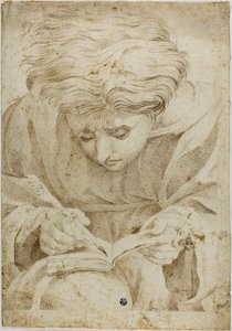 Giovane seduto che scrive in un libro da Raphael