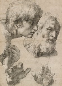 Studi delle teste di due apostoli e delle loro mani, XVI secolo da Raphael