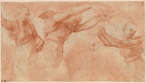 Studio per gli dei che celebrano il matrimonio di Psiche e Cupido, 1518-1519