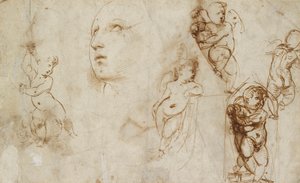 Vari studi, principalmente per la Santa Caterina Borghese-Beckford