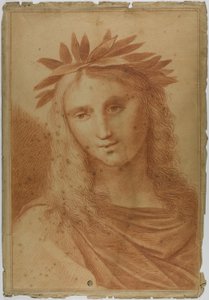 Donna incoronata di alloro da Raphael