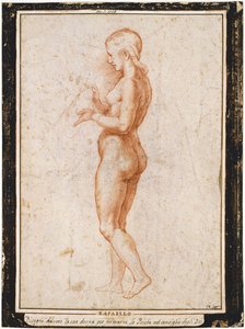 Giovane figura femminile di profilo, ca 1517