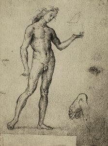 Studio di nudo maschile; disegno di Raffaello