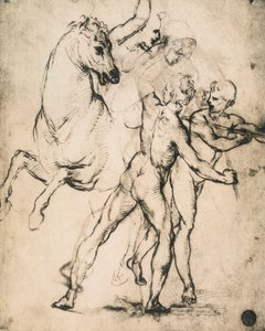 Nudi maschili con un cavallo; disegno di Raffaello da Raffaello Sanzio Raphael