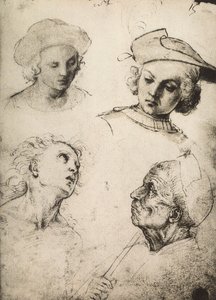 Studio di quattro volti maschili