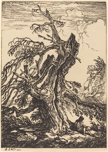 Studio di un albero da Raphael Lamar West