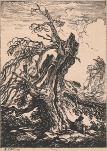 Studio di un Albero da Raphael Lamar West