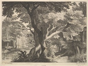 Paesaggio boscoso da Raphael Sadeler