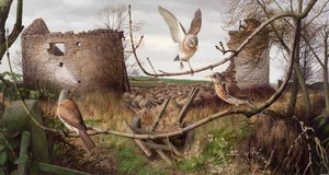 Voli di campo a Eccup, West Yorkshire da Raymond Booth