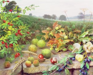 Raccogliere il raccolto selvatico da Raymond Booth