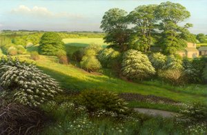 Paesaggio da Raymond Booth